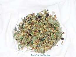 Calea Zacatechichi - Herbe à Rêves (10 grammes)