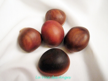 Lot de 5 oeil de boeuf