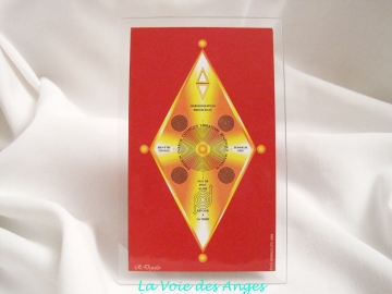 le Protecteur Universel (poche)