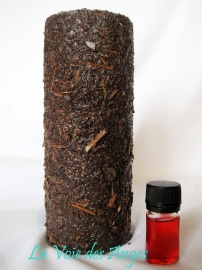 Bougie Plantes - Protection spirituelle
