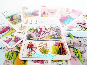 T.Petit Lenormand