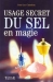 Usage secret du sel en magie