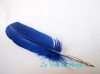 Plume Bleue