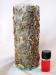 Bougie Plantes - Attire l'argent