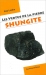 .Les vertus de la pierre shungite