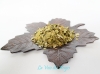.Feuilles de ginkgo