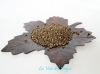 .Graines de musc