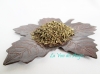 .Patchouli